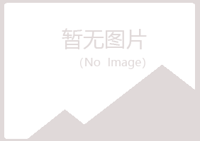 琼山区平庸会计有限公司